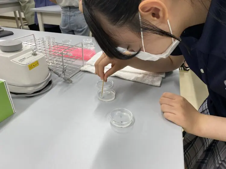 SSH探究教育　信州大学遺伝学実習1日目（全4日）