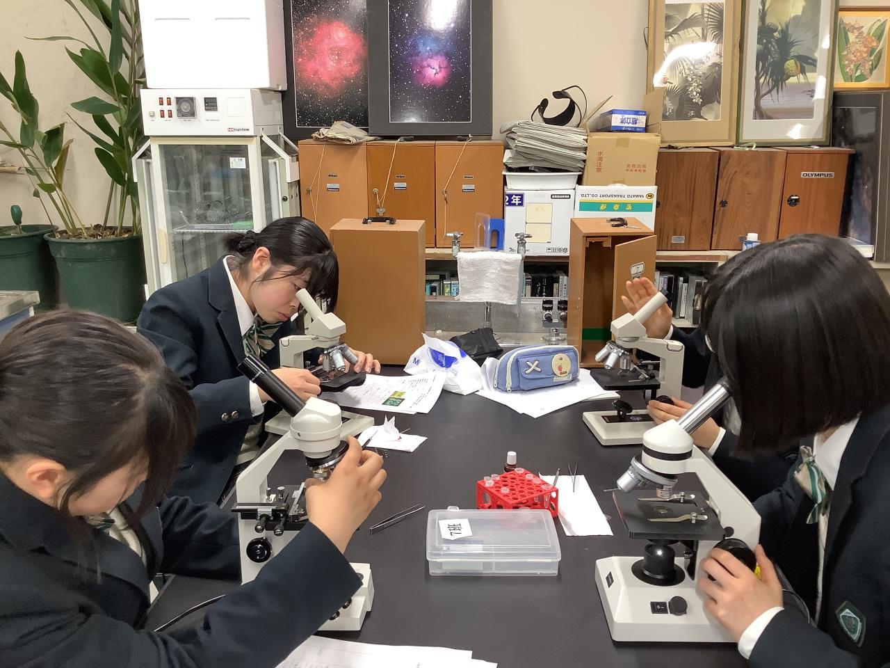 SSH探究基礎ゼミナール