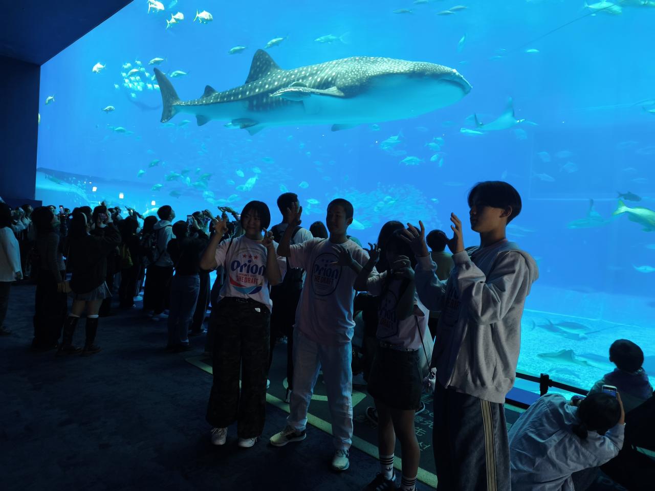 2学年 沖縄修学旅行 3日目