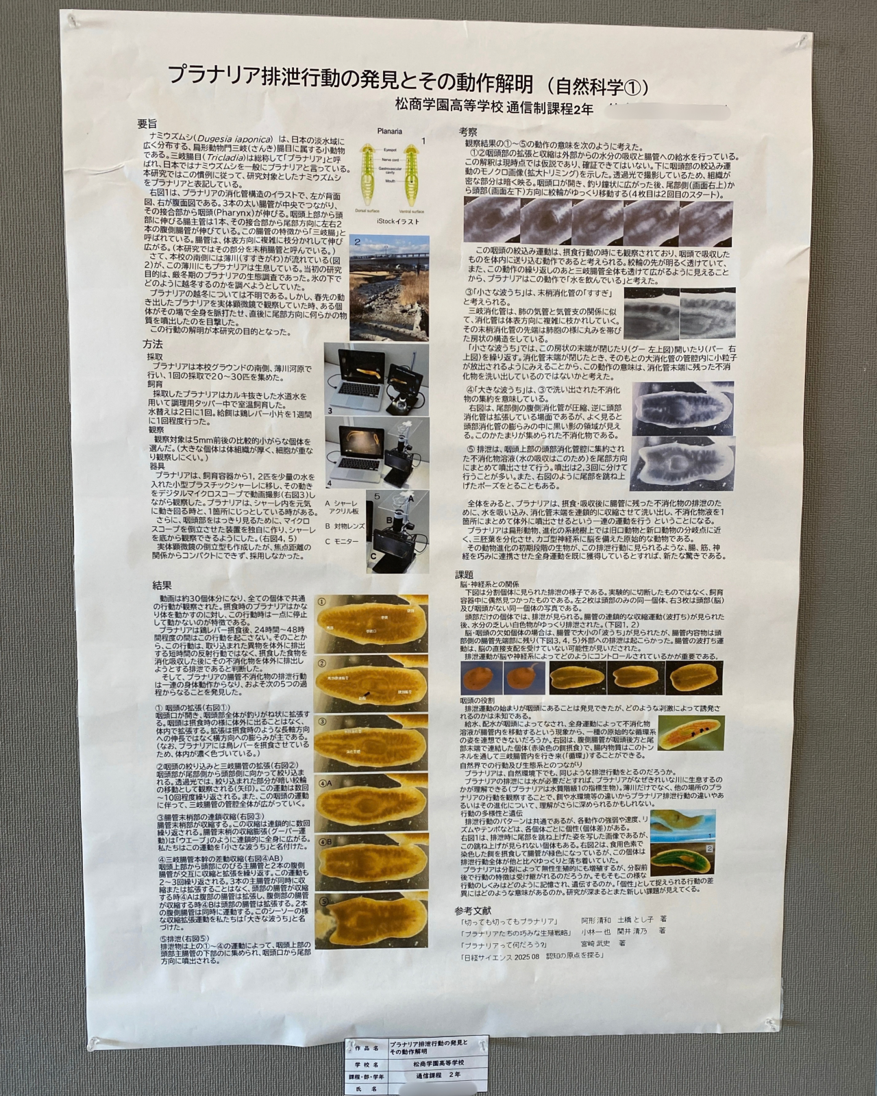 【通信制課程】生活体験発表大会に作品を展示しました。